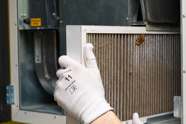 Best Local Air Duct Cleaning Services  in Stevensville, MI