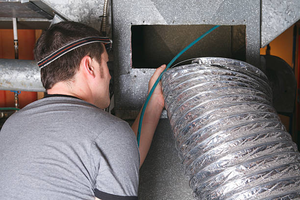 Best Air Vent Cleaning Services  in Stevensville, MI