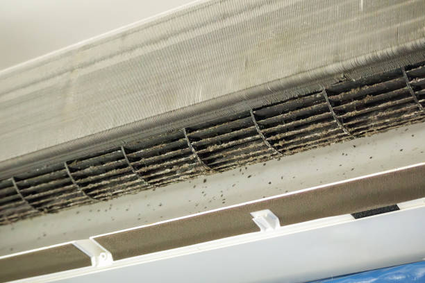 Best Affordable HVAC Duct Cleaning  in Stevensville, MI