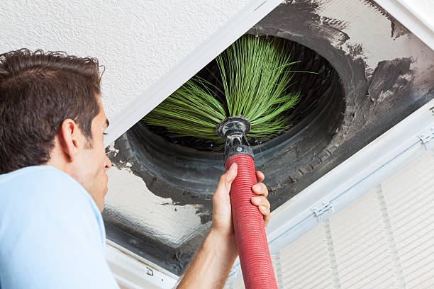 Best Air Duct Sanitizing Services  in Stevensville, MI