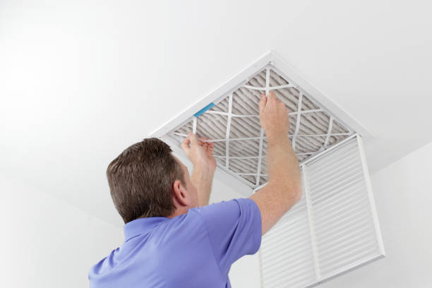 Best HVAC System Cleaning  in Stevensville, MI